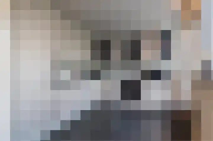 Laan van het Kinholt 315 Emmen thumbnail 14