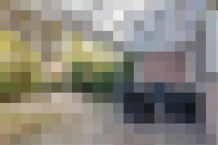 Laan van het Kinholt 315 Emmen thumbnail 30