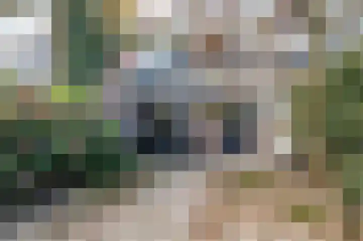 Laan van het Kinholt 315 Emmen thumbnail 31