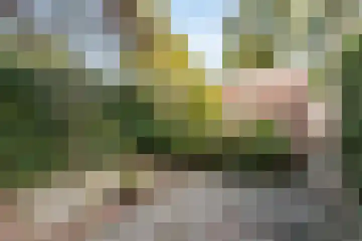 Laan van het Kinholt 315 Emmen thumbnail 33