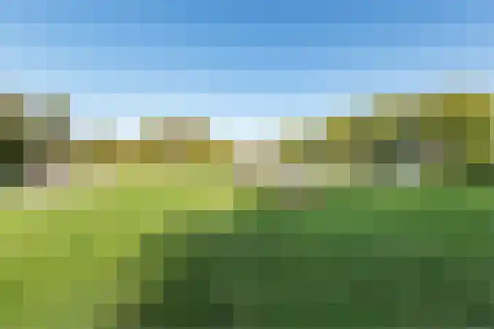 Laan van het Kinholt 315 Emmen thumbnail 37