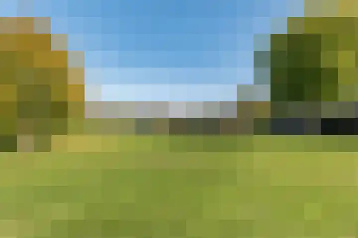 Laan van het Kinholt 315 Emmen thumbnail 39