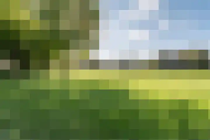 Laan van het Kinholt 315 Emmen thumbnail 41