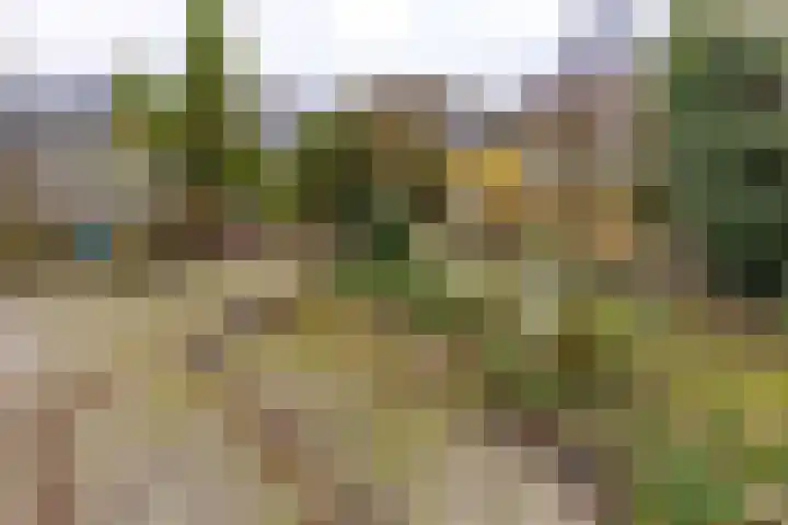 Laan van het Kinholt 317 Emmen thumbnail 10