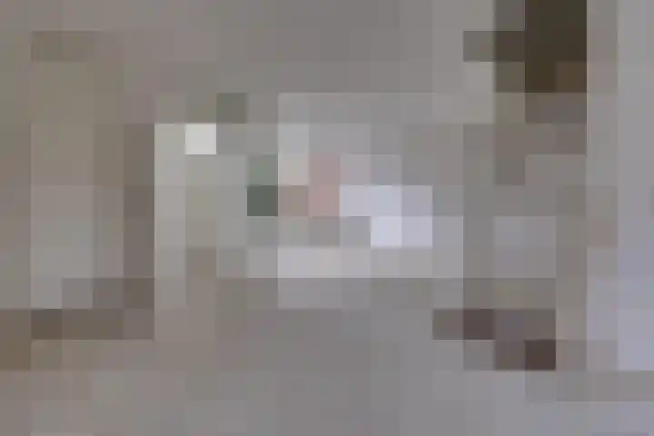 Laan van het Kinholt 317 Emmen thumbnail 11