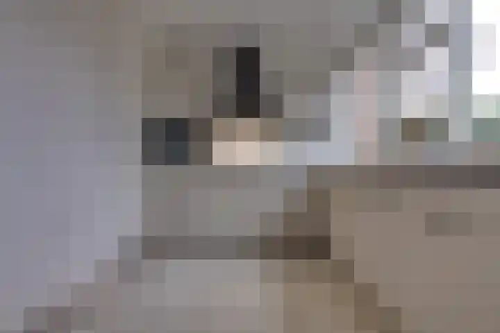 Laan van het Kinholt 317 Emmen thumbnail 14