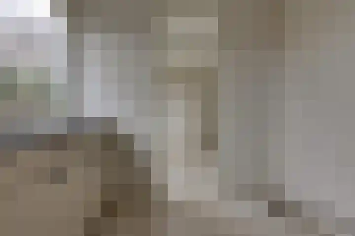 Laan van het Kinholt 317 Emmen thumbnail 16