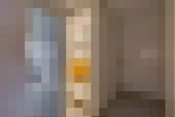 Laan van het Kinholt 317 Emmen thumbnail 24