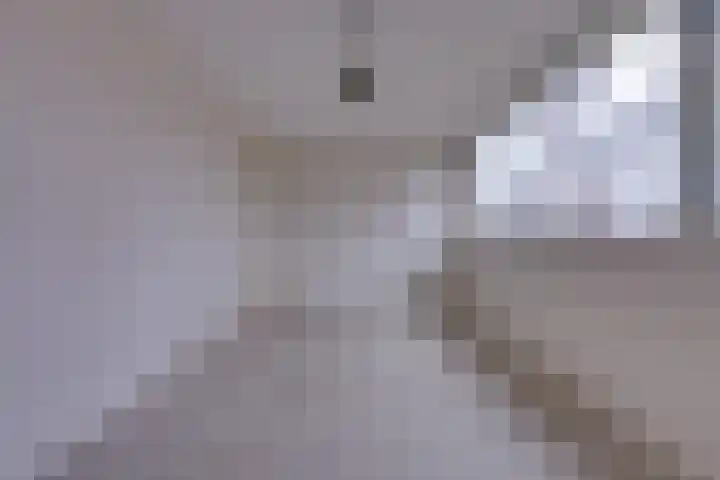Laan van het Kinholt 317 Emmen thumbnail 26