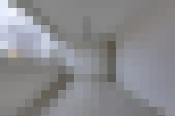 Laan van het Kinholt 317 Emmen thumbnail 27