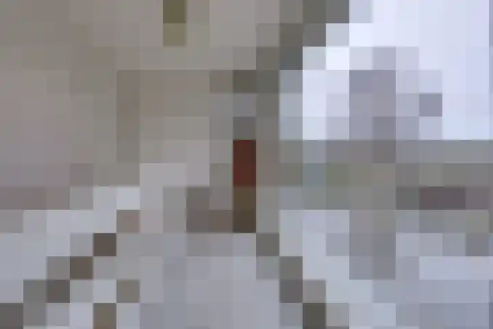 Laan van het Kinholt 317 Emmen thumbnail 31