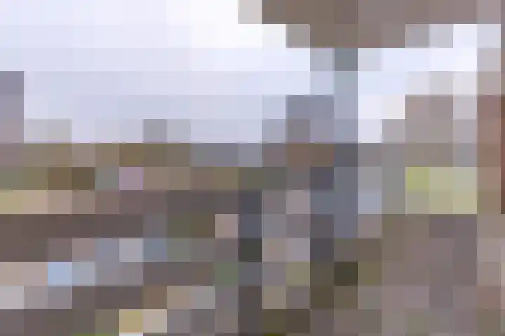 Laan van het Kinholt 317 Emmen thumbnail 36