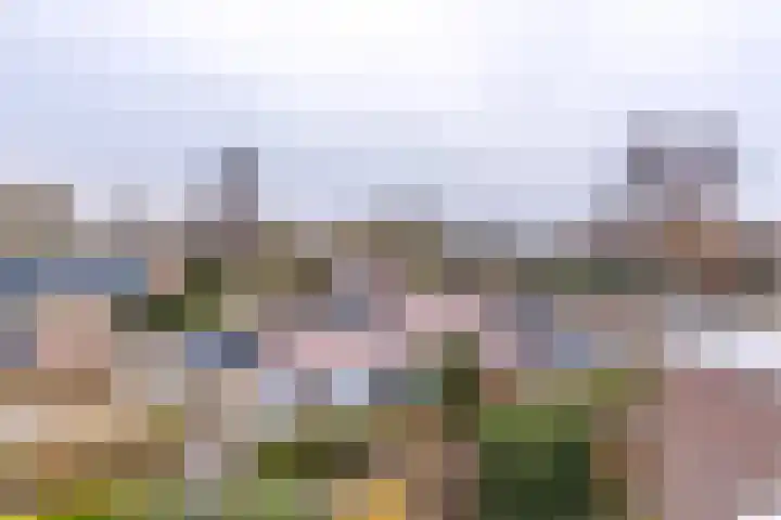 Laan van het Kinholt 317 Emmen thumbnail 37