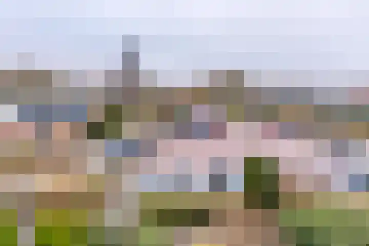 Laan van het Kinholt 317 Emmen thumbnail 38