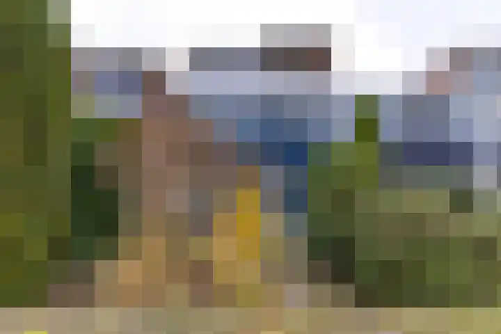 Laan van het Kinholt 317 Emmen thumbnail 4