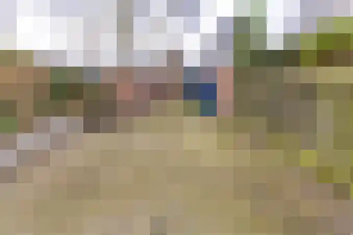 Laan van het Kinholt 317 Emmen thumbnail 42