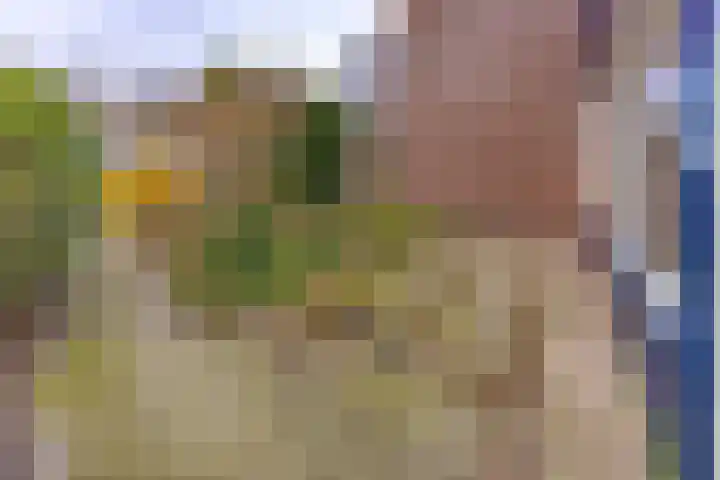 Laan van het Kinholt 317 Emmen thumbnail 9