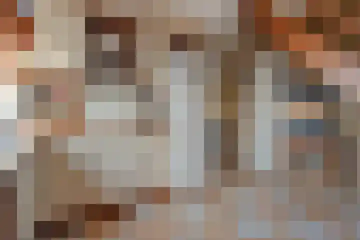 Laan van het Kinholt 353 Emmen thumbnail 12