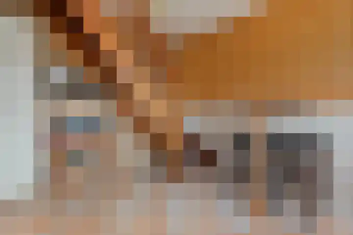 Laan van het Kinholt 353 Emmen thumbnail 15