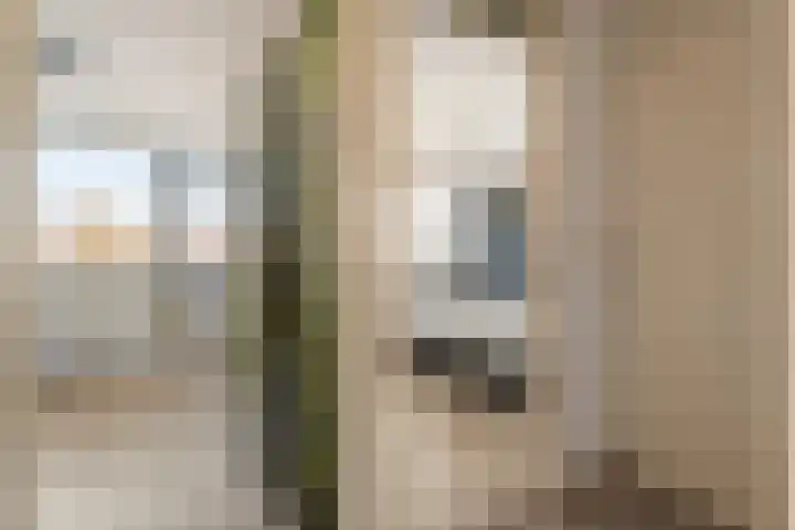 Laan van het Kinholt 353 Emmen thumbnail 18
