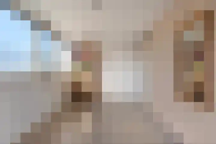 Laan van het Kinholt 353 Emmen thumbnail 19