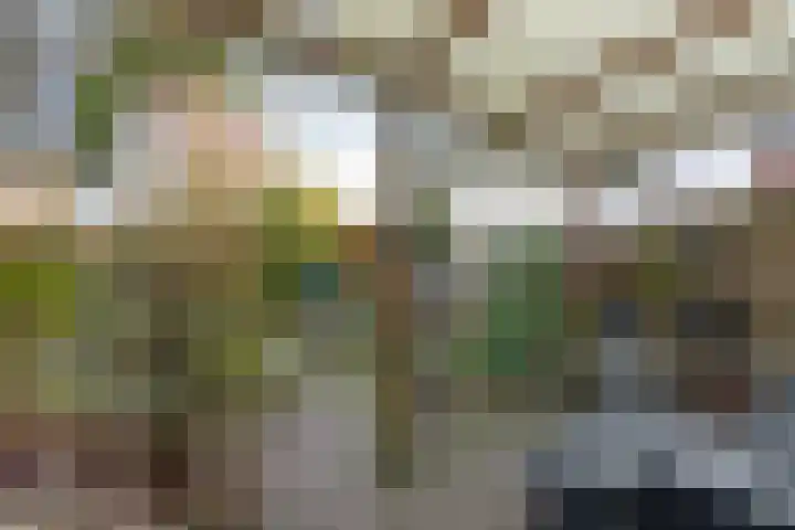 Laan van het Kinholt 353 Emmen thumbnail 28