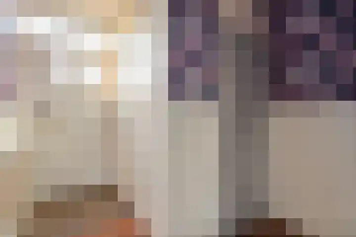 Laan van het Kinholt 353 Emmen thumbnail 8