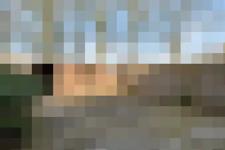 Laan van het Kinholt 459 Emmen thumbnail 19