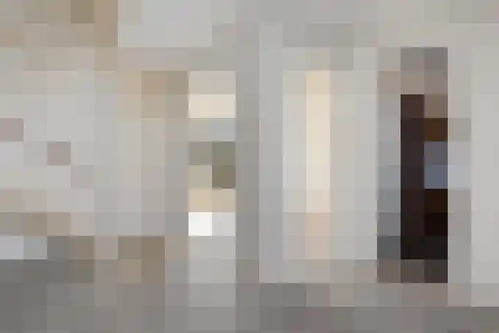 Laan van het Kinholt 459 Emmen thumbnail 6