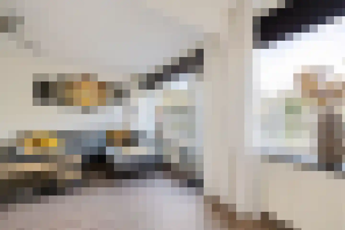 Laan van het Kinholt 471 Emmen thumbnail 20