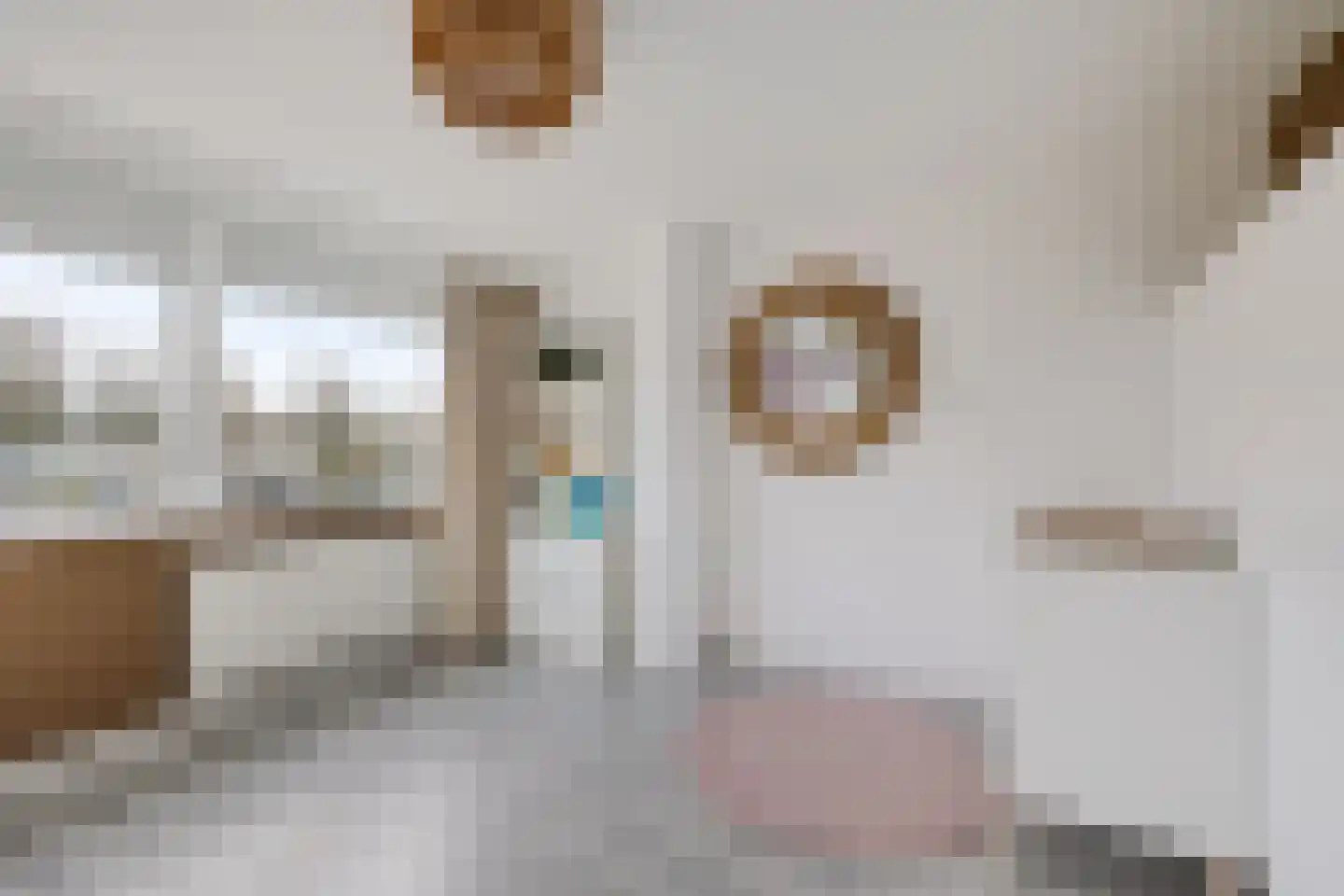 Laan van het Kinholt 471 Emmen thumbnail 32
