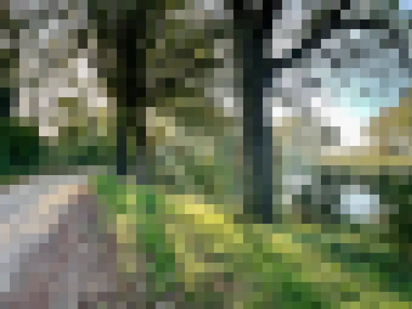 Laan van het Kinholt 471 Emmen thumbnail 42