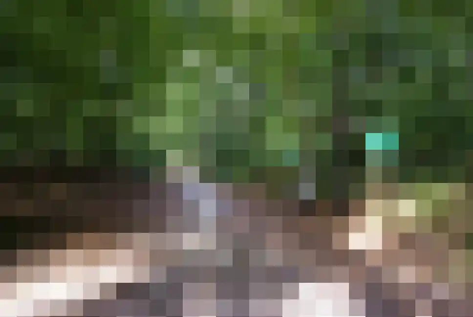 Laan van het Kinholt 471 Emmen thumbnail 47