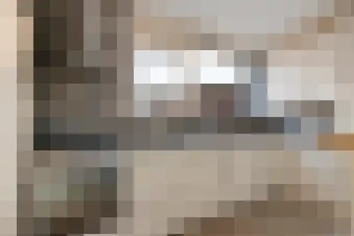 Laan van het Kinholt 479 Emmen thumbnail 4