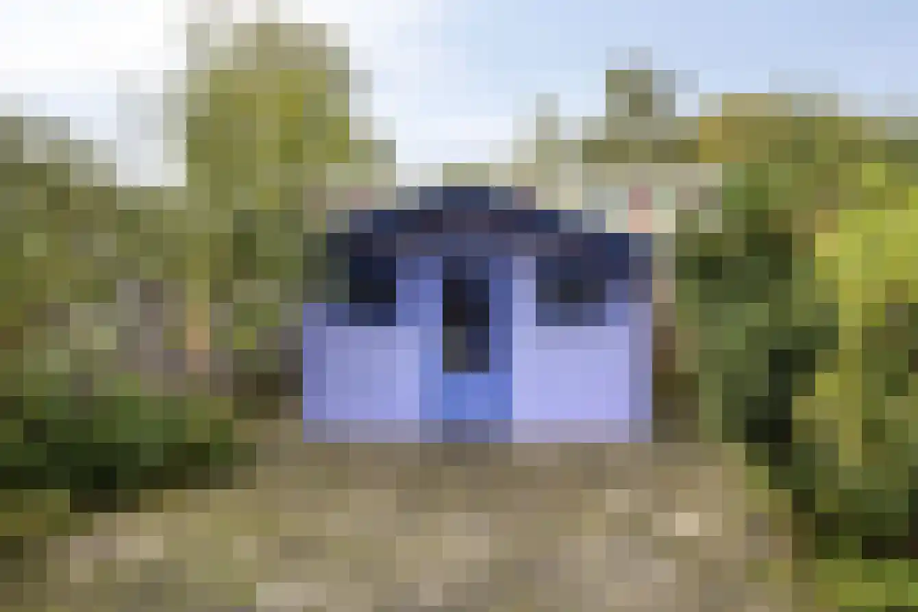 Laan van het Kinholt 493 Emmen thumbnail 31