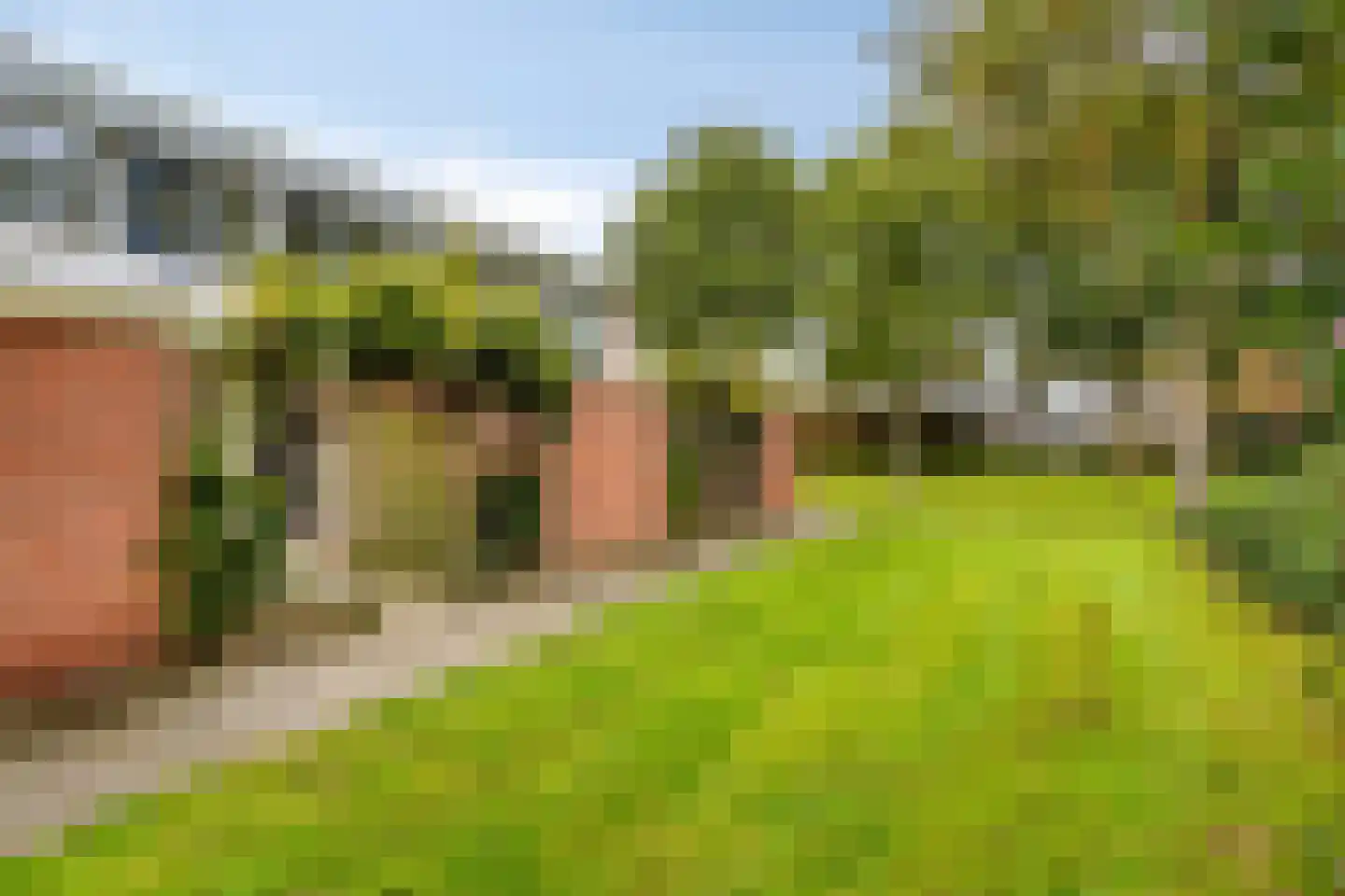 Laan van het Kinholt 493 Emmen thumbnail 32