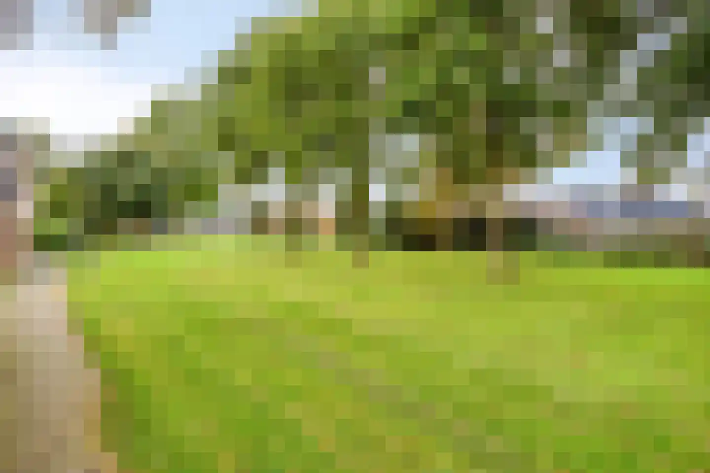 Laan van het Kinholt 493 Emmen thumbnail 33