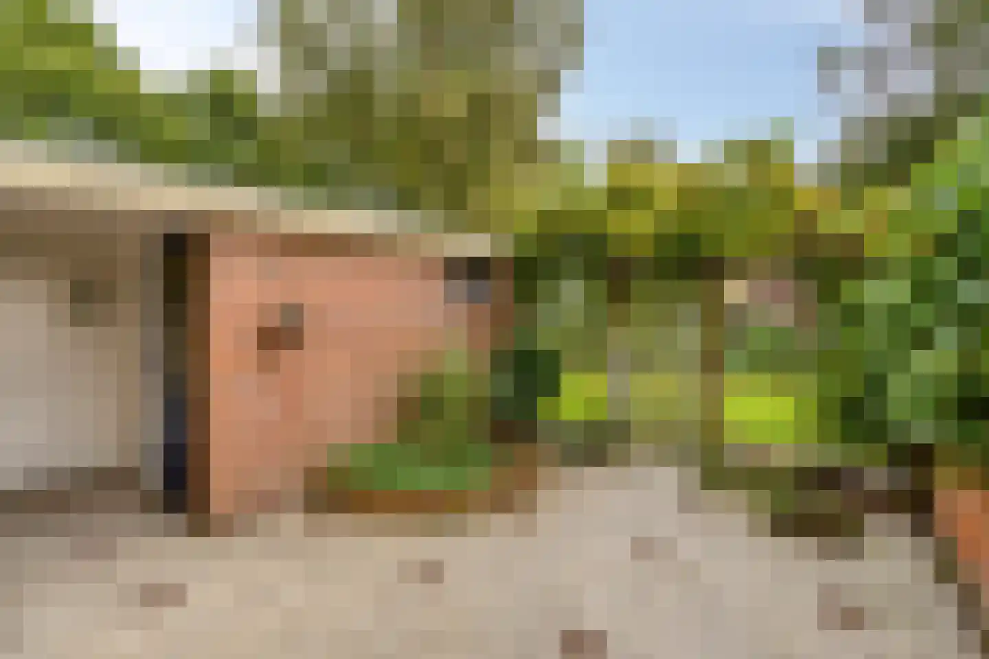 Laan van het Kinholt 493 Emmen thumbnail 4