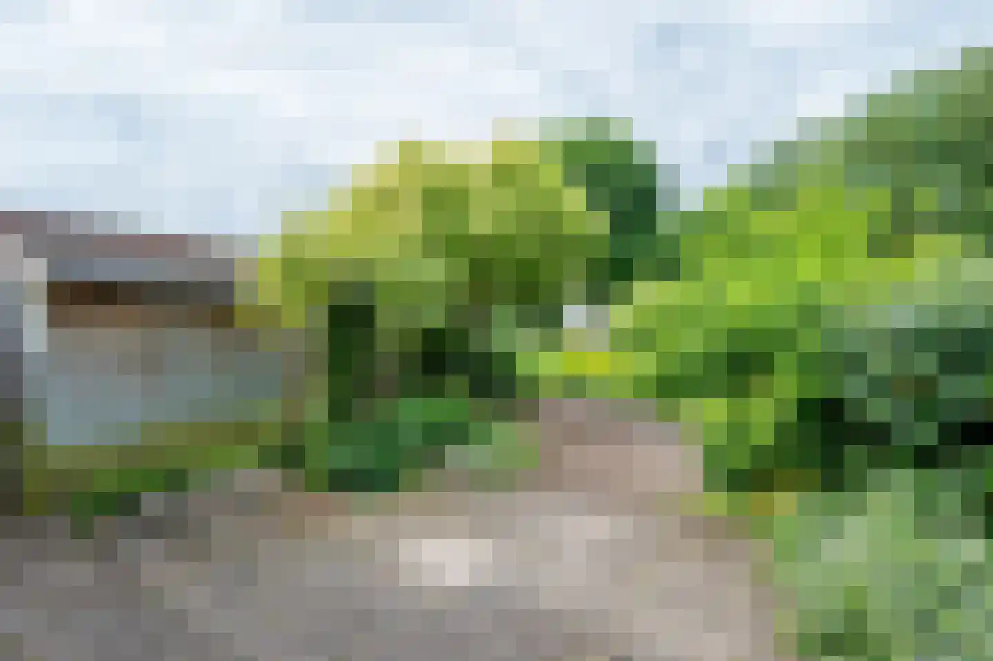 Laan van het Kinholt 5 Emmen thumbnail 23