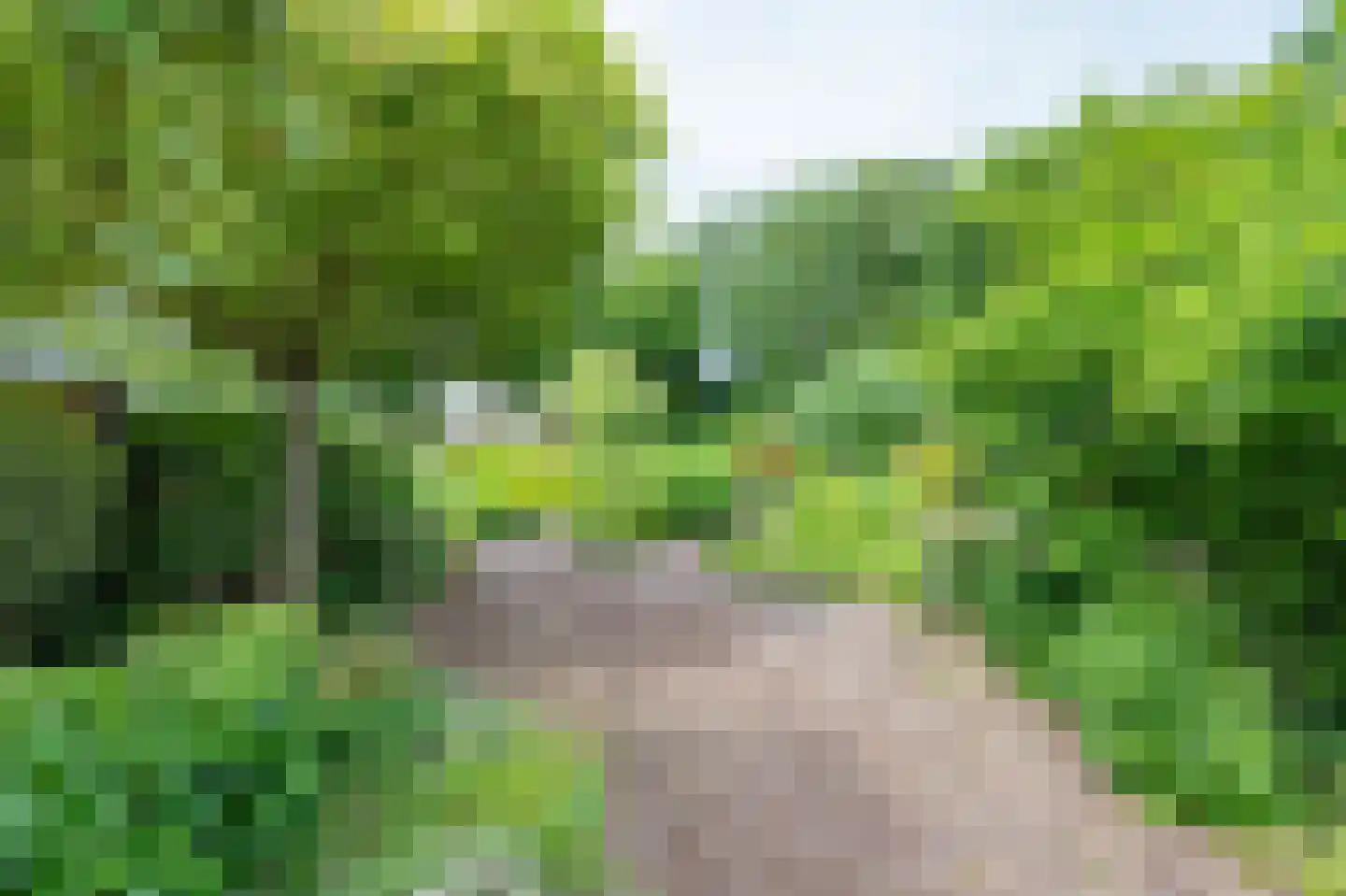 Laan van het Kinholt 5 Emmen thumbnail 26