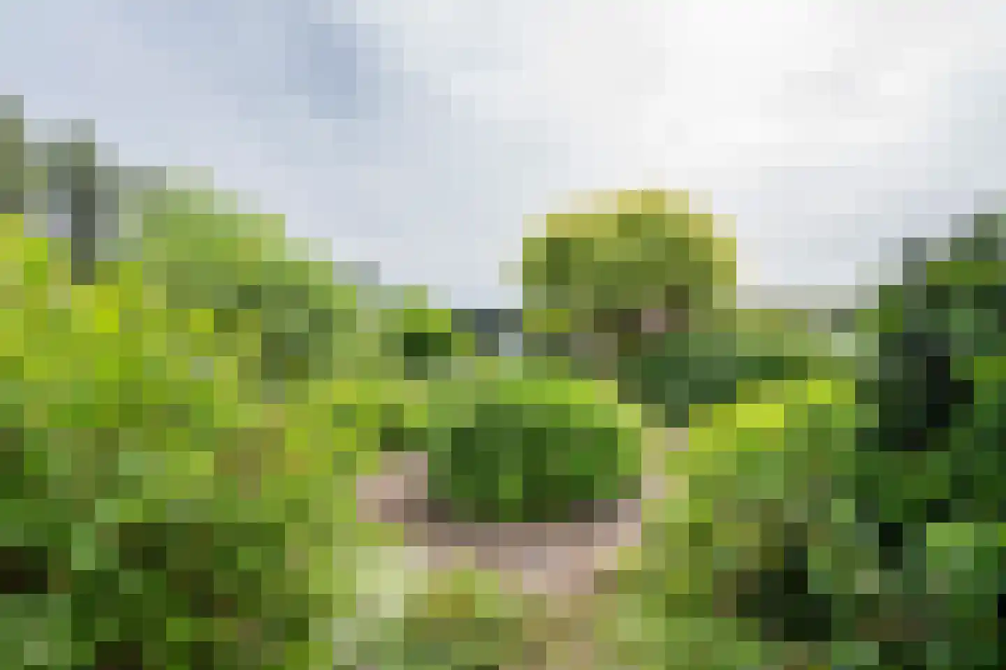 Laan van het Kinholt 5 Emmen thumbnail 27