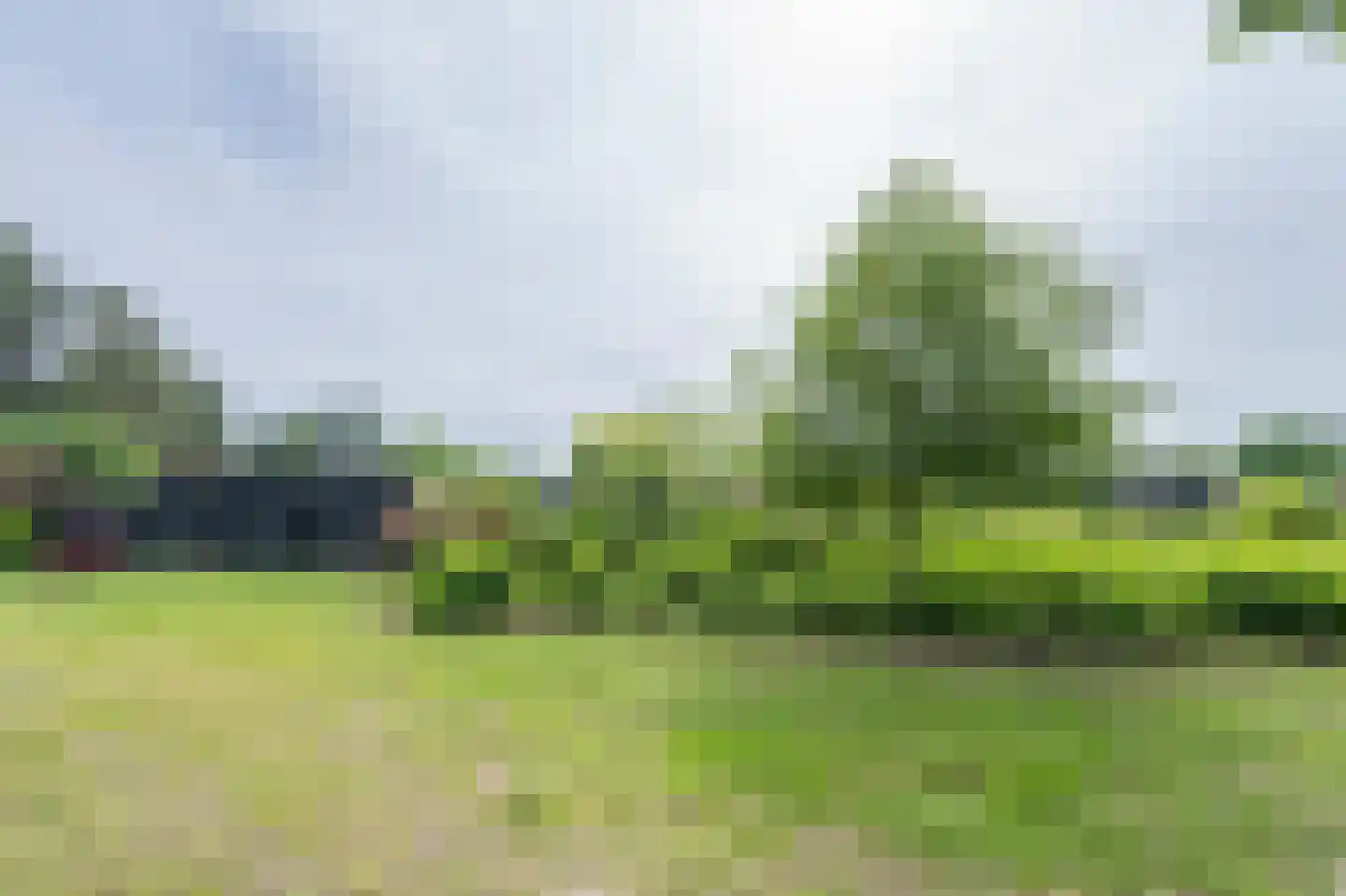 Laan van het Kinholt 5 Emmen thumbnail 28
