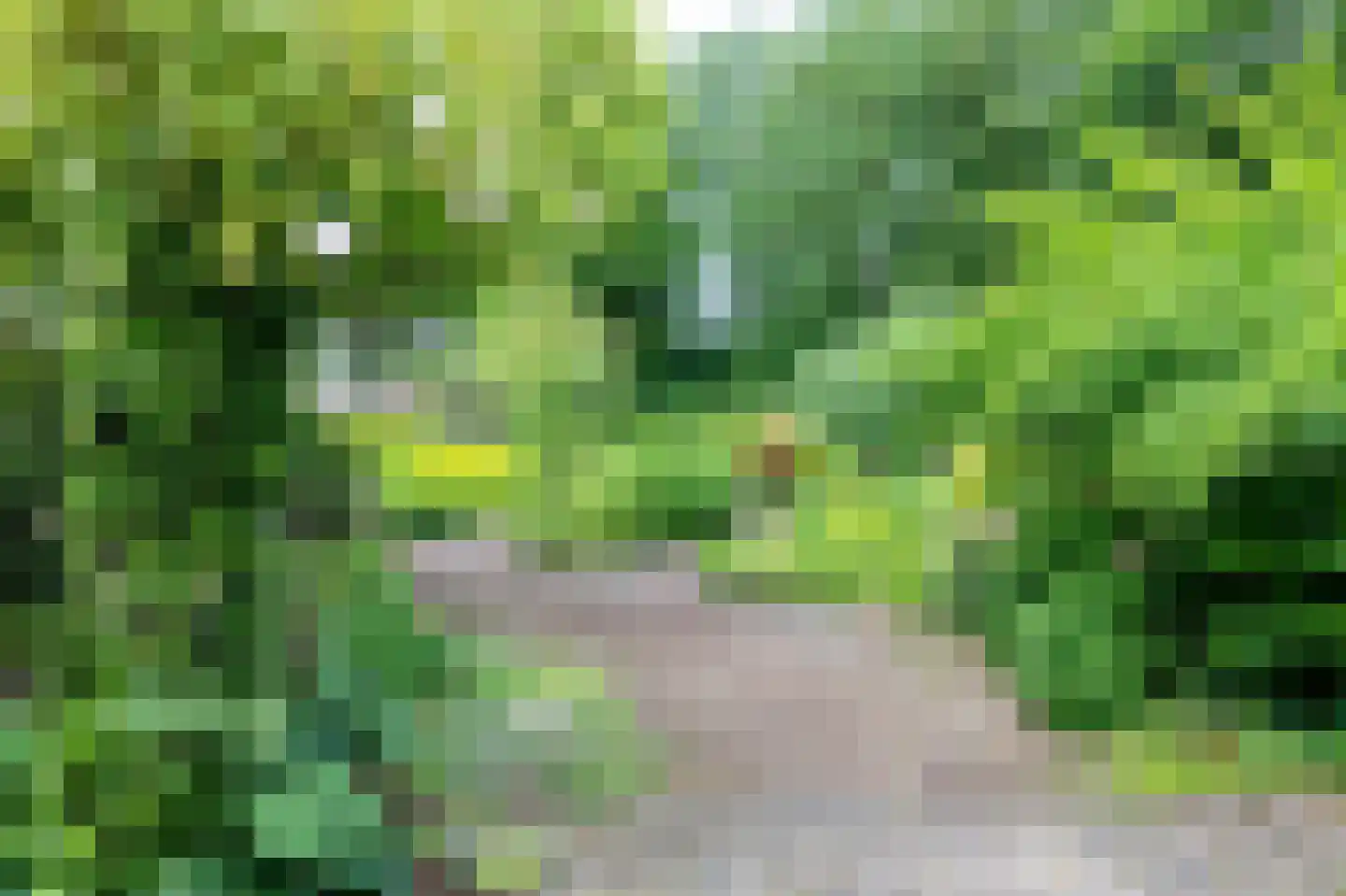 Laan van het Kinholt 5 Emmen thumbnail 30