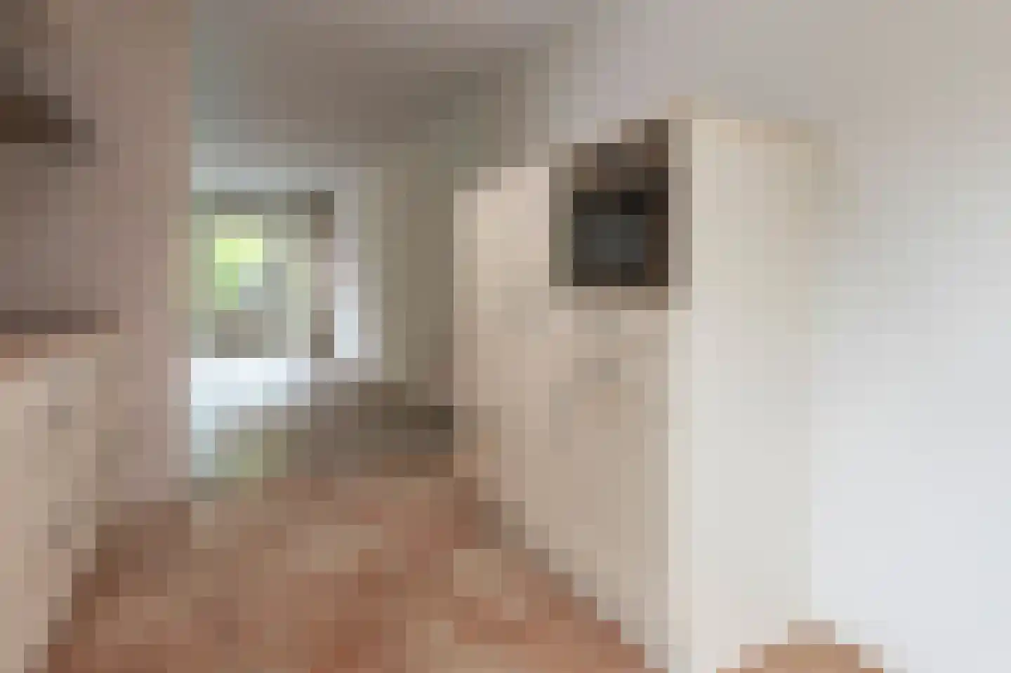 Laan van het Kinholt 5 Emmen thumbnail 5