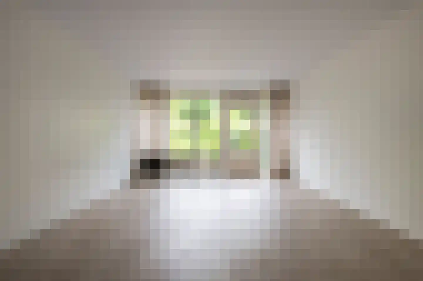 Laan van het Kinholt 5 Emmen thumbnail 7