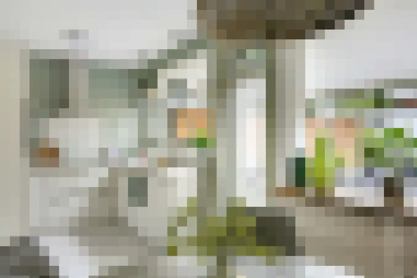 Laan van het Kinholt 507 Emmen thumbnail 12