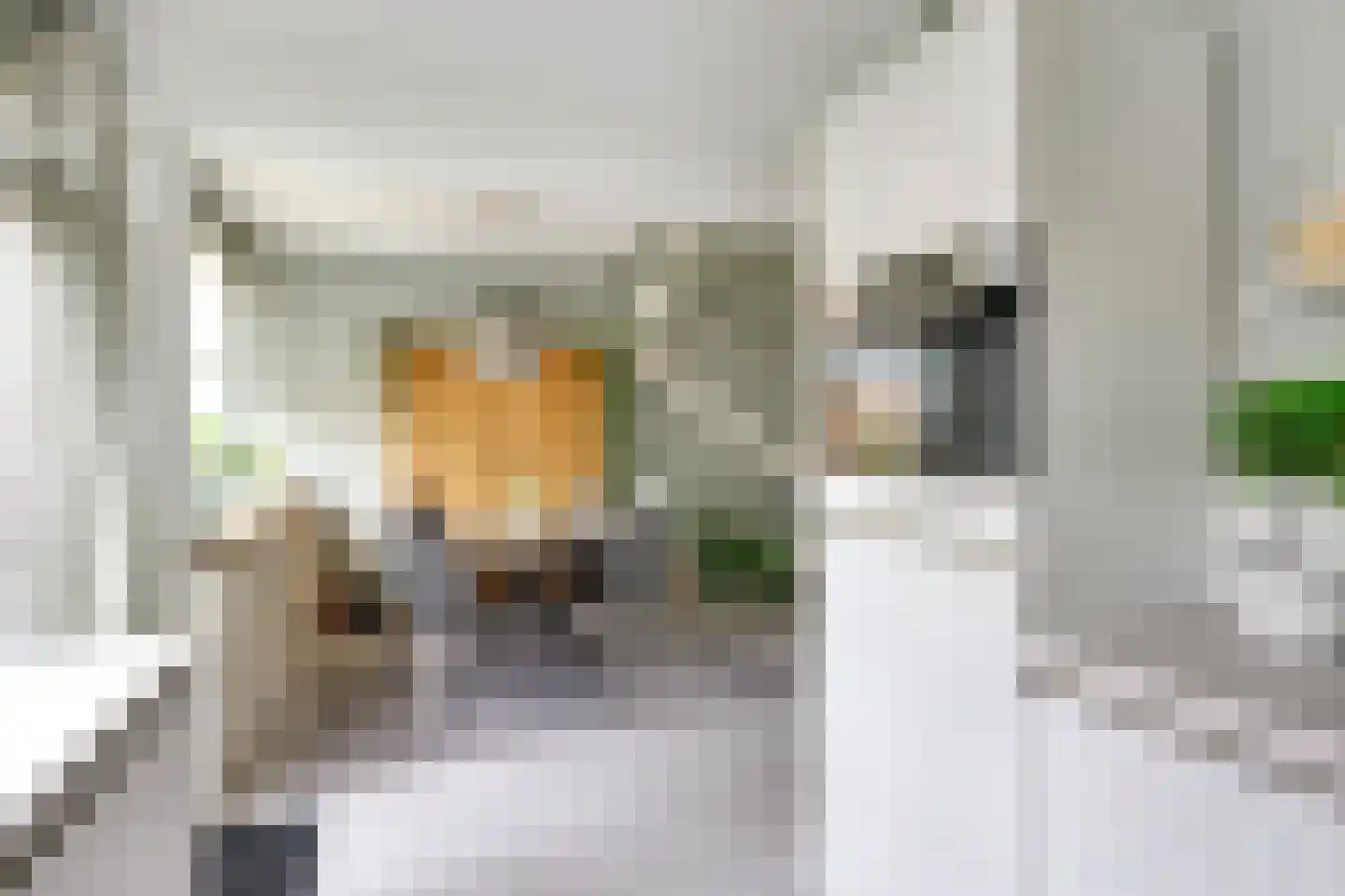 Laan van het Kinholt 507 Emmen thumbnail 14