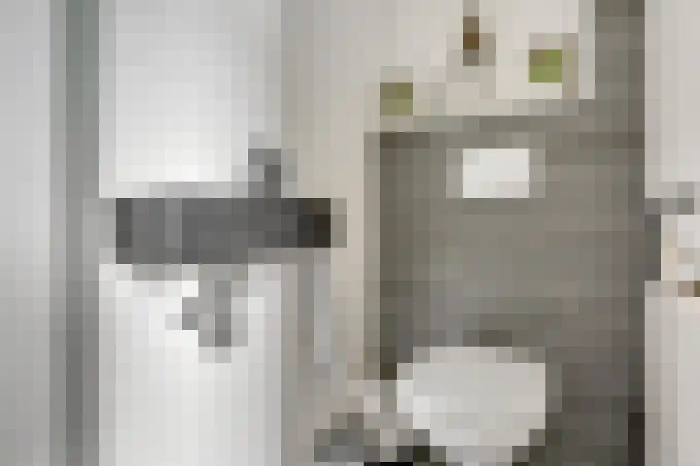 Laan van het Kinholt 507 Emmen thumbnail 15