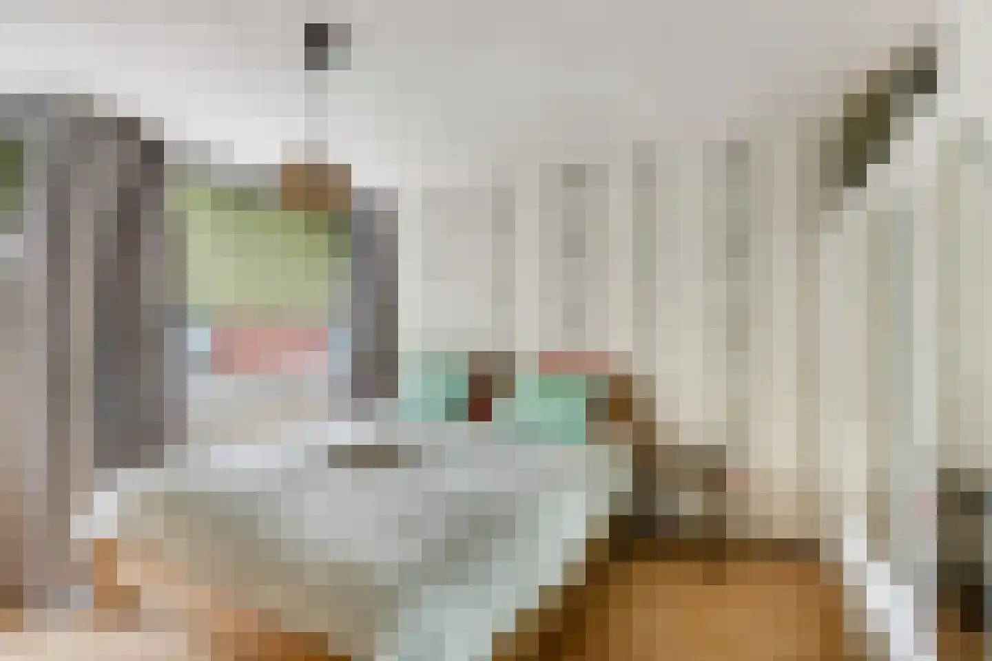 Laan van het Kinholt 507 Emmen thumbnail 21