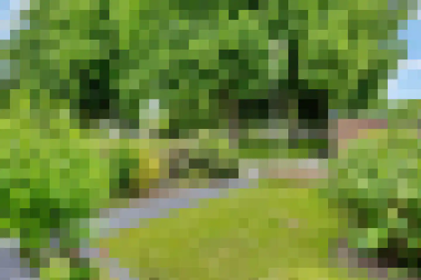 Laan van het Kinholt 507 Emmen thumbnail 30